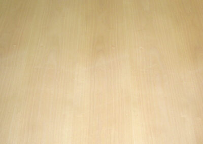 PS-EURO BEECH