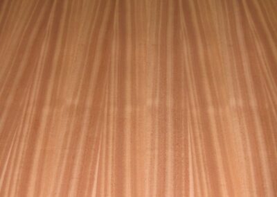 QTR-SAPELE