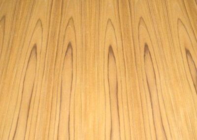 PS-TEAK