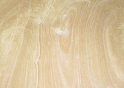 RC-RED BIRCH