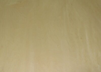 RC-WHITE MAPLE